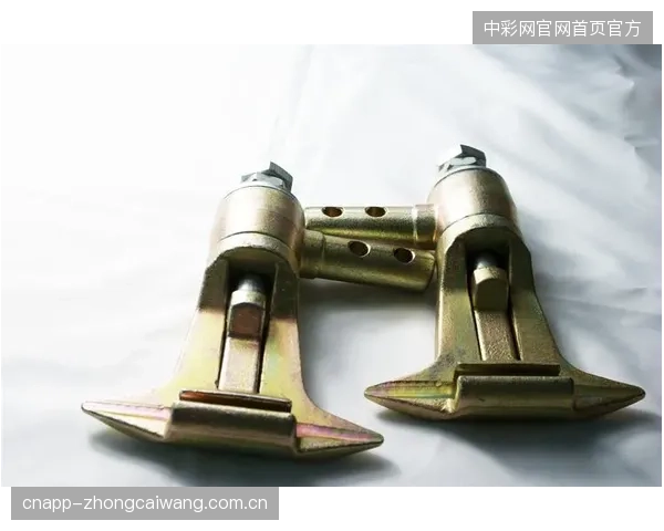抱索器探伤数据仅仅停留在运维部门，未能与雪场高层的风险决策系统打通，这种信息孤岛现象亟待解决